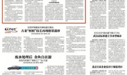 最新巡查员爆料新闻稿件,揭秘事件背后惊人真相